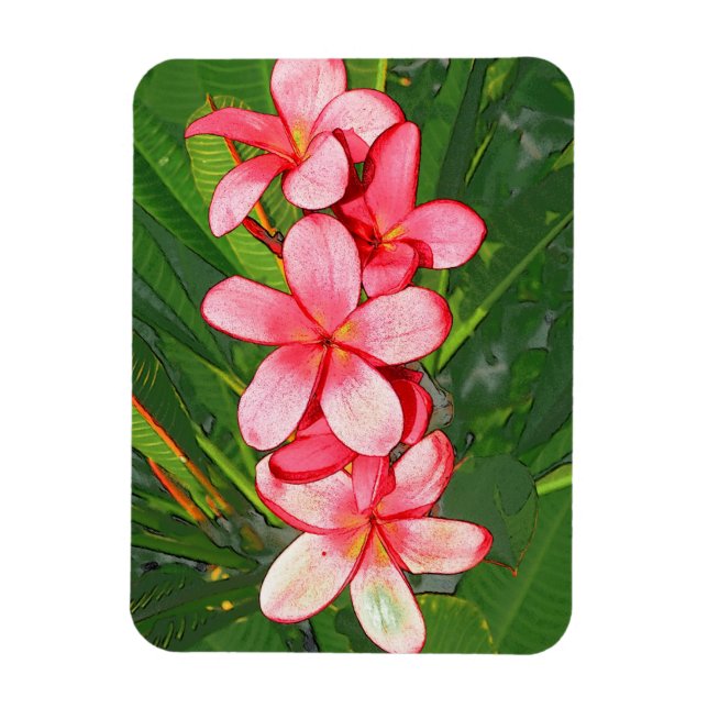 Rosa tropische Frangipani-Kunst Magnet (Vertikal)