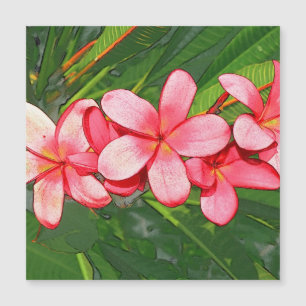 Rosa tropische Frangipani-Kunst Magnetkarte