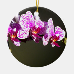 Rosa, tropische Orchideen in Rosa Keramik Ornament