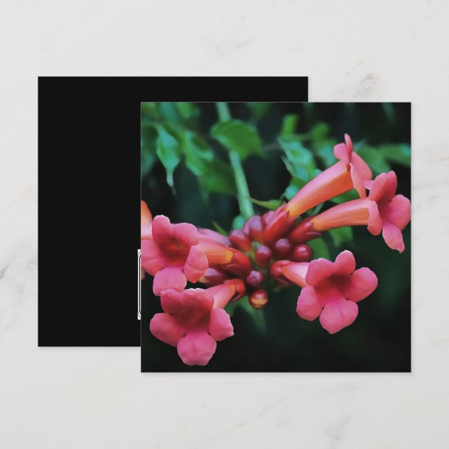 Rosa Trumpet Honeysuckle Botanische Kunst Einladung (Vorne/Hinten)