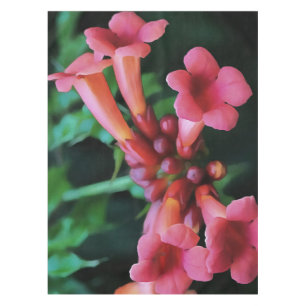 Rosa Trumpet Honeysuckle Botanische Kunst Tischdecke