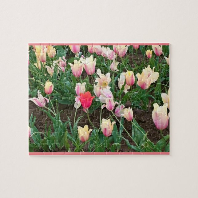 Rosa Tulip in Field, Oregon Puzzle (Horizontal)