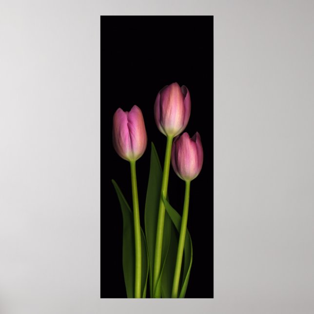 Rosa Tulip Trio Print Poster (Vorne)