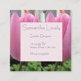 Rosa Tulip Tulips Park/Garten: Begleitkarte