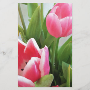 Rosa Tulips, Blumenstrauß, Blume Briefpapier