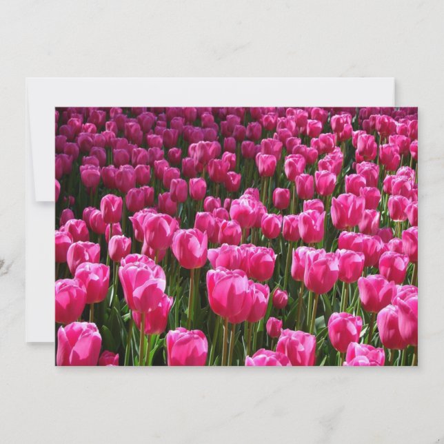 Rosa Tulips Einladung (Vorderseite)