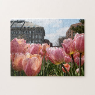Rosa Tulips in Bostons Nordende Puzzle
