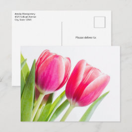 Rosa Tulips mit grünem Blätter Foto Postkarte