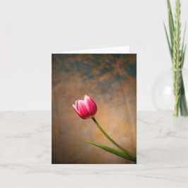 Rosa Tulpe mit einer Wendung Karte