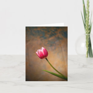 Rosa Tulpe mit einer Wendung Karte