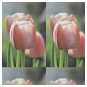 Rosa Tulpe Stoff
