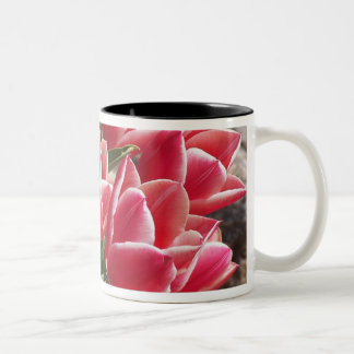 Rosa Tulpe-Tasse Zweifarbige Tasse