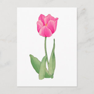 Rosa Tulpe, vintage japanische Kunst 12 x 1`6 Postkarte