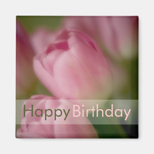 Rosa Tulpen • Alles- Gute zum Geburtstagmagnet Magnet
