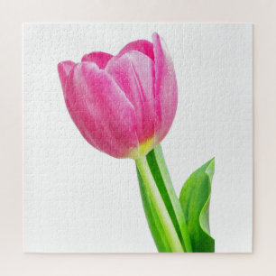 Rosa Tulpen auf weiß Puzzle
