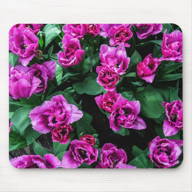 Rosa Tulpen Blume Mousepad (Vorne)