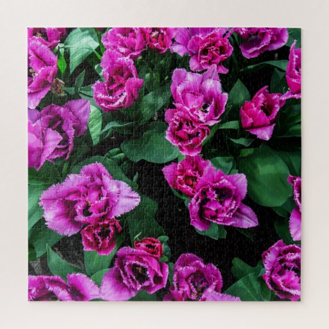 Rosa Tulpen Blume Puzzle (Vertikal)