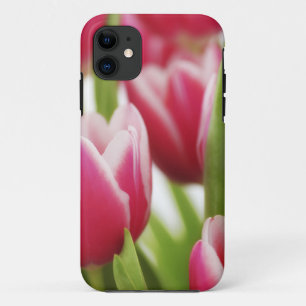 Rosa Tulpen iPhone 11 Hülle