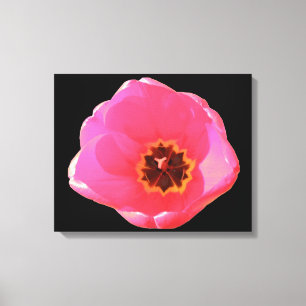 Rosa Tulpen-Leinwanddruck Leinwanddruck