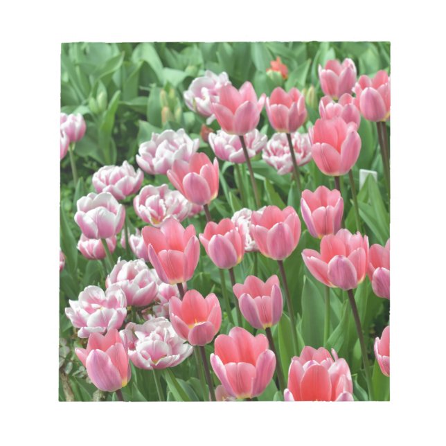 Rosa Tulpen Notizblock (Vorderseite)