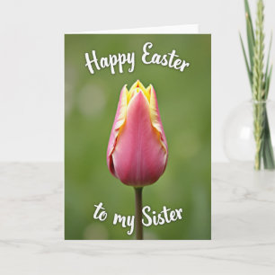 Rosa Tulpen Oster-Schwester-Karte Karte