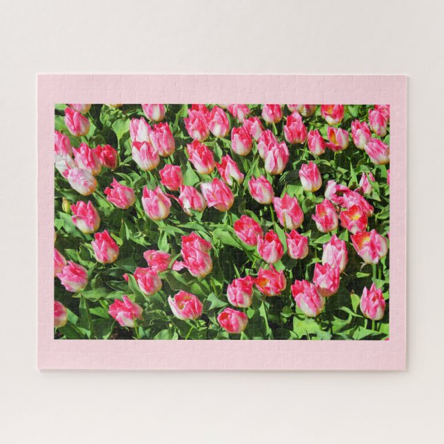 Rosa Tulpen Puzzle (Horizontal)