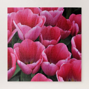 Rosa Tulpen Schönheit Puzzle