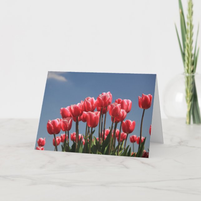 Rosa Tulpen und blauer Himmel Feiertagskarte (Vorderseite)