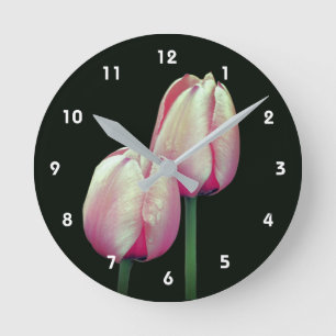 Rosa Tulpenblüten Regentropfen  Runde Wanduhr