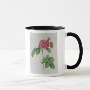 Rosa Turbinata, von, Les Roses', Vol. 1, 1817 Tasse
