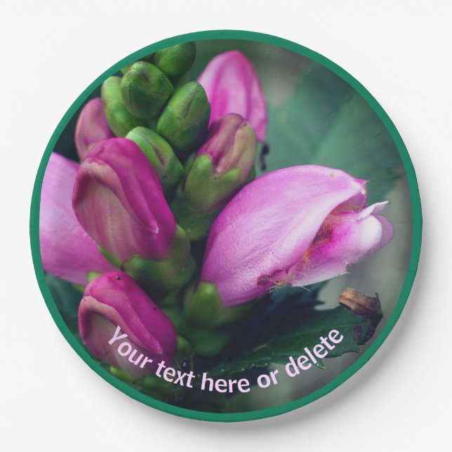 Rosa Turtlehead-Blume Personalisiertes Party Pappteller (Vorderseite)