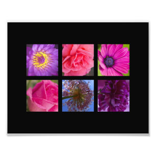 Rosa u. lila Blumen Fotodruck