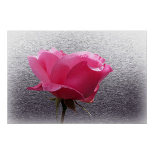 rosa über grau poster