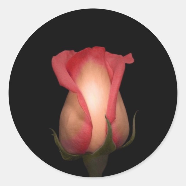 Rosa Umschlag Aufkleber (Vorderseite)