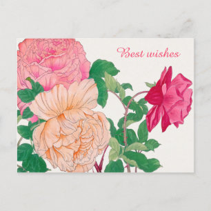 Rosa und blass Orange Rose Blume Beste Wünsche Postkarte