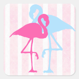 Rosa und blaue Flamingo-Sticker Quadratischer Aufkleber