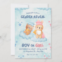 Rosa und Blaue Süße Bären Geschlecht Enthüllungs E