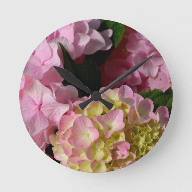 Rosa und Cream Hydrangeas Runde Wanduhr (Vorderseite)