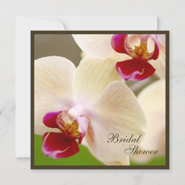 Rosa und Cream Orchid Brautparty Square Einladung (Vorderseite)
