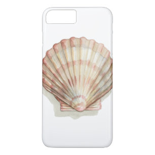 Rosa und Creme Seashell Case-Mate iPhone Hülle