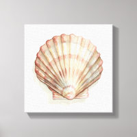 Rosa und Creme Seashell