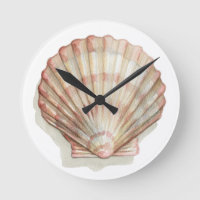 Rosa und Creme Seashell