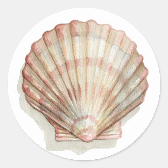 Rosa und Creme Seashell Runder Aufkleber (Vorderseite)