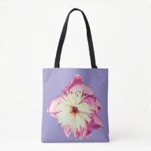 Rosa und cremefarbene Blume