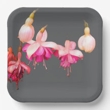 Rosa und cremefarbene Blume