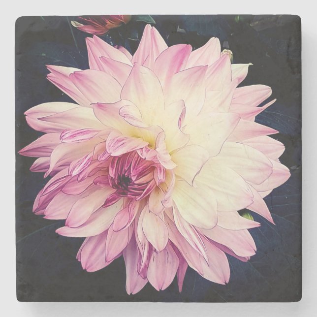 Rosa und cremefarbene Blume Steinuntersetzer (Vorderseite)