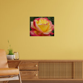 Rosa und Gelb Rose Fotografisch Poster