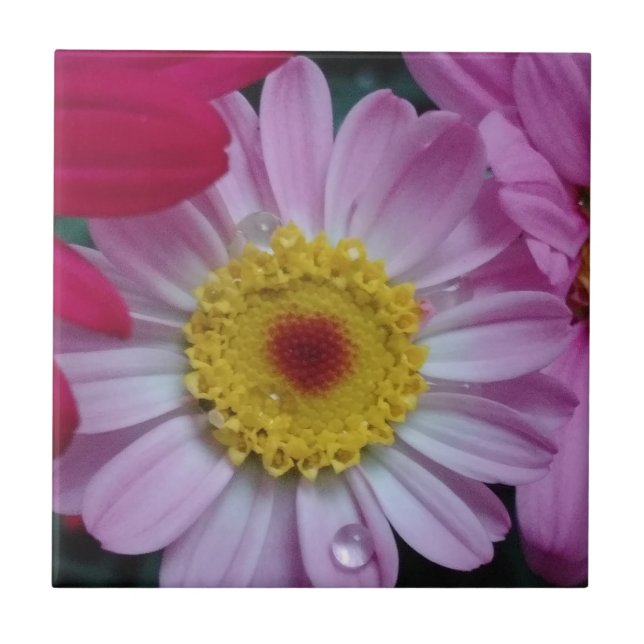 Rosa und gelbe Blume Fliese (Vorderseite)