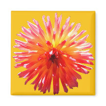 Rosa und gelbe Blume