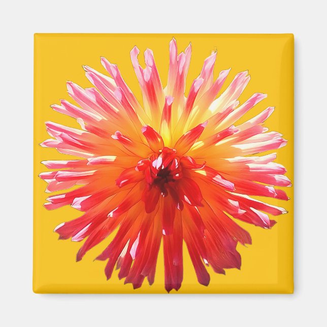 Rosa und gelbe Blume Magnet (Vorne)